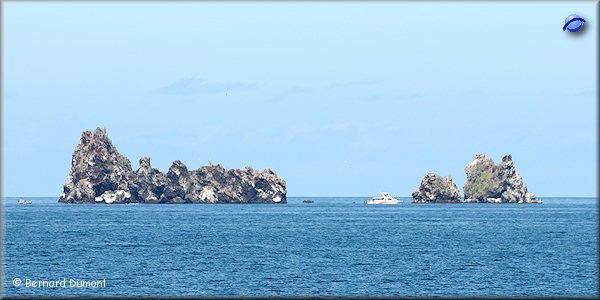 (Floreana) The "Devil's Crown", emerging crater at the north of the island