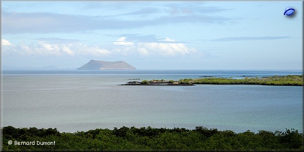 (Daphne Major) Volcanic cone at the west of Baltra