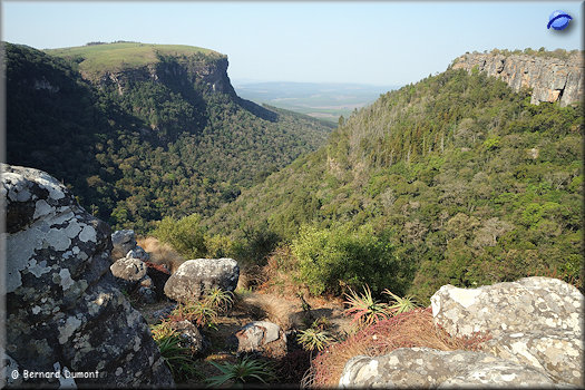 View of Blyde River Canyon from God's Window, near Graskop