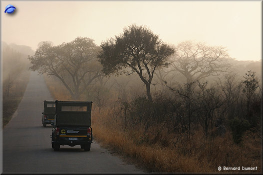 Kruger National Park
