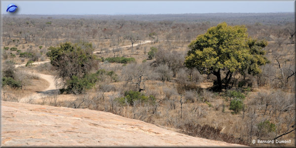 Kruger National Park