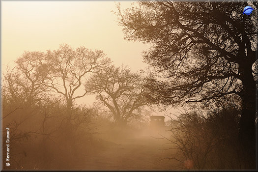 Kruger National Park