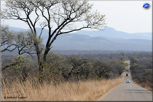 Kruger National Park