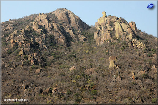Between Kruger Park and Eswatini