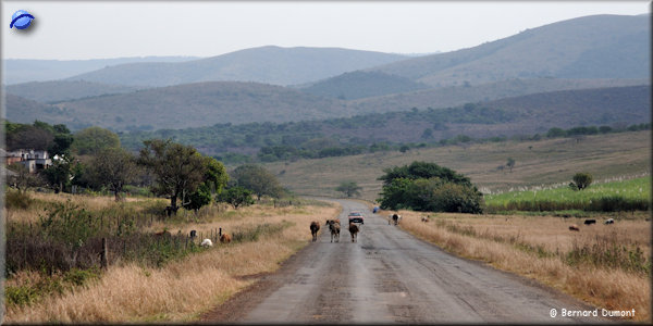 On the way to Hluhluwe-iMfolozi Park