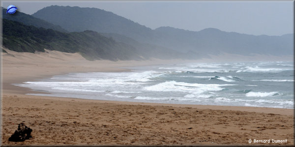 Cape Vidal