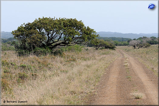 iSimangaliso Wetland Park