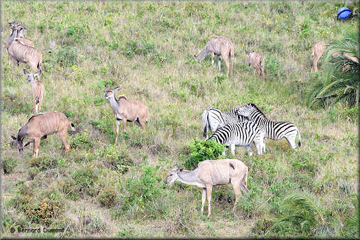 iSimangaliso Wetland Park