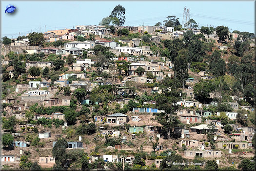 Durban suburbs