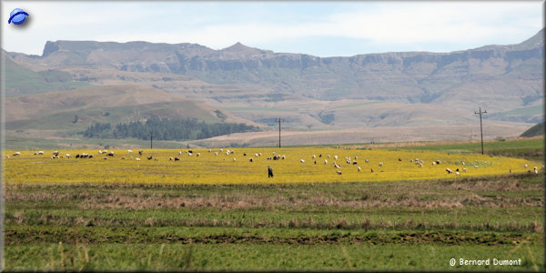 Route through Drakensberg (northeastern Lesotho)