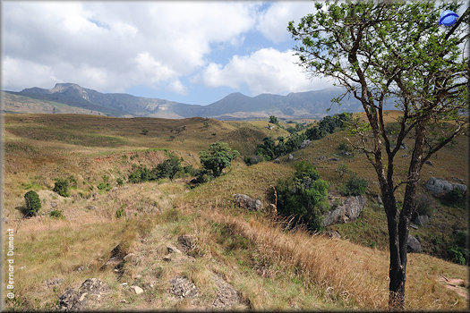 Drakensberg massif (northern Lesotho)