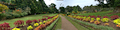 Panoramas